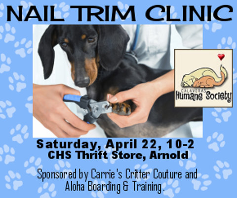 Don’t Forget The Annual Dog Nail Trim Clinic At Arnold CHS Thrift Store On April 22nd