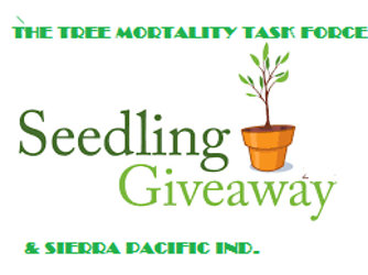 Sierra Pacific Industries Donates 5,000 Seedlings For Tree Mortality Give Away