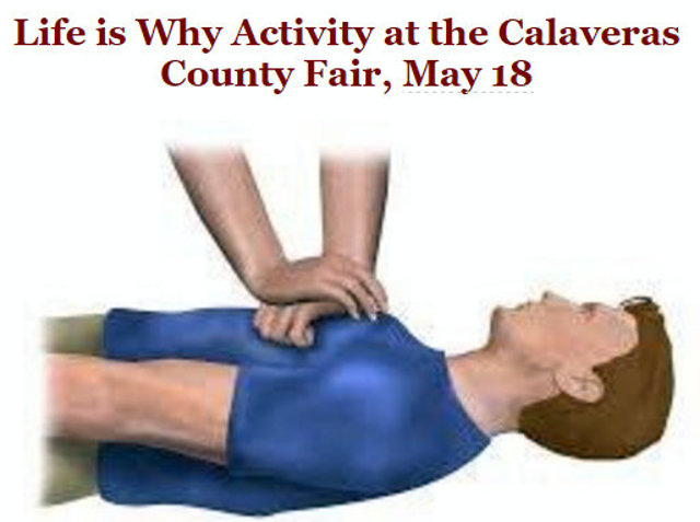Life is Why Activity at the Calaveras County Fair, May 18