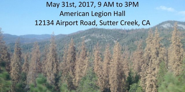 Reforestation on Land Affected by Wildfire and Tree Mortality  Workshop Is May 31st.