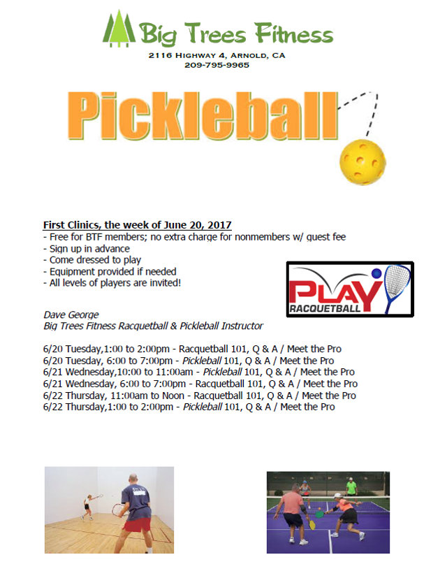 Sign Up For Pickleball Clinics at Big Trees Fitness
