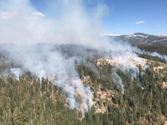 Yosemite Area Empire Fire Update August 17th, 1,450 Acres