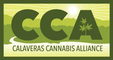 U.O.P. Publishes Study of the Fiscal Impact of Cannabis Regulation on the Calaveras County Budget
