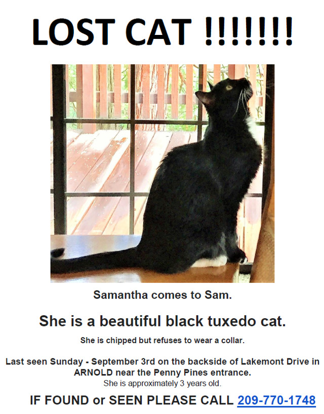 Samantha is Missing, Please Help Her Find Her Way Home