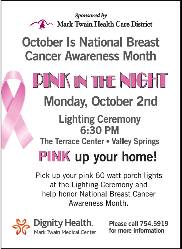 Make Plans To Attend the 2017 “Pink In The Night” Ceremony October 2nd.