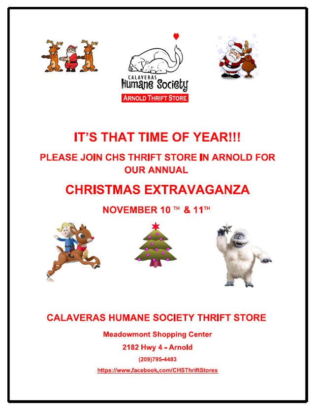 CHS Thrift Christmas Extravaganza!!!