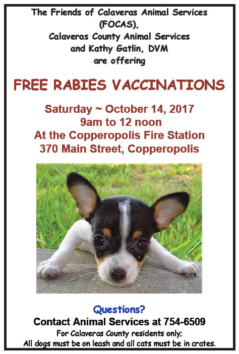 Free Rabies Vaccinations Saturday October 14th