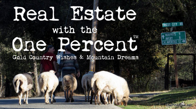 Real Estate with the One Percent™ Our New Weekly Real Estate Show