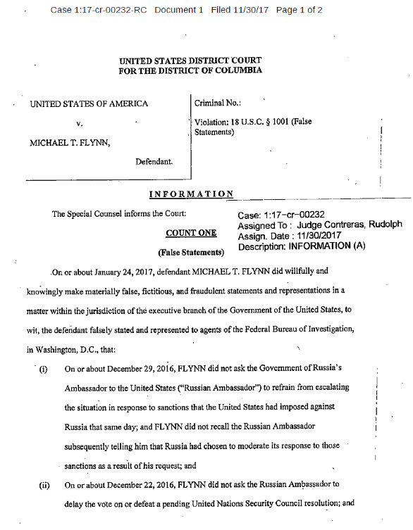 The Michael Flynn False Statement Court Documents