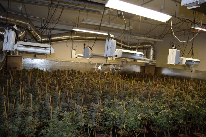 Third Indoor Marijuana Grow Seized in Valley Springs