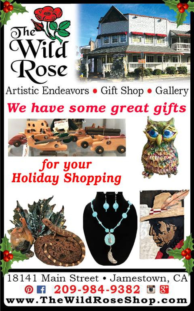 Shop Local & Shop Often at The Wild Rose in Jamestown