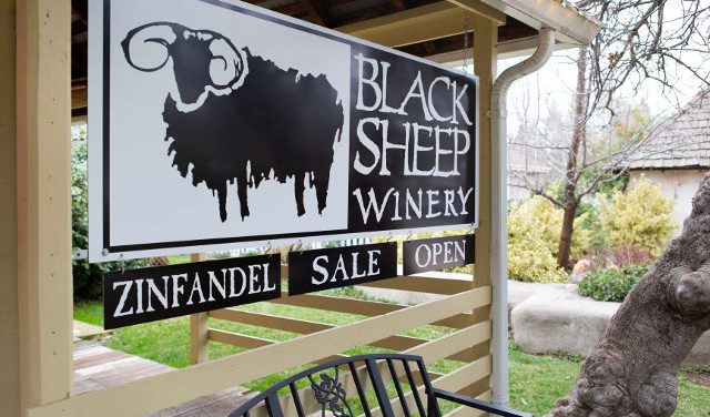 Crushingly Good September Wine Specials from Black Sheep Winery!