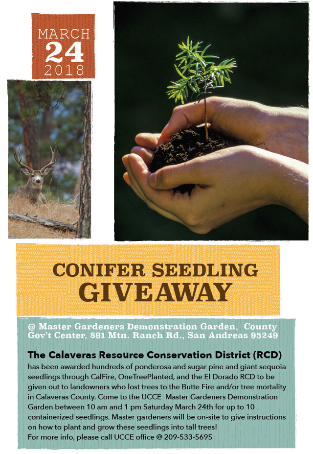 Make Plans to Pick Up Your Seedlings on March 24th