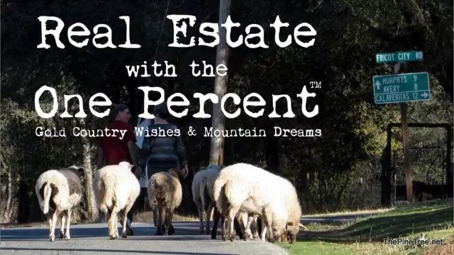 Real Estate with the One Percent™ Our Weekly Real Estate Show Returns
