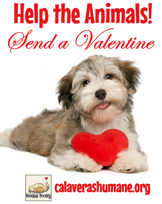 Help The Animals For Valentines Day!