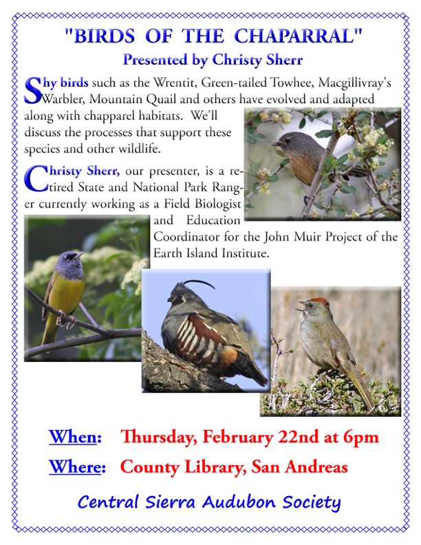 Central Sierra Audubon Society Presents “Birds of the Chaparral”