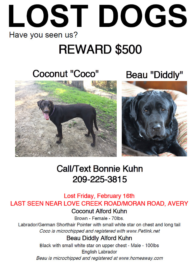 Coco & Diddly Are Missing!  Have You Seen Them?