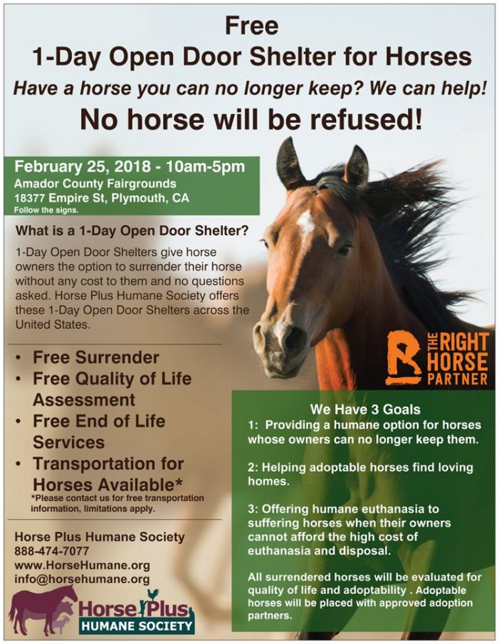 1-Day Open Door Shelter for Horses – Free Surrender Day Today