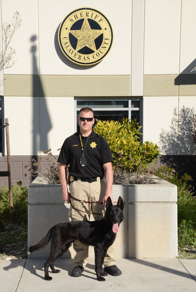 New Sheriff Canine Team from Friends of the Calaveras Sheriff’s Office Donations