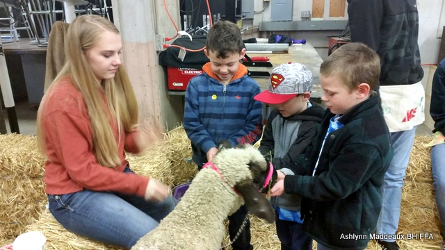 Roping Kids into Agriculture Education