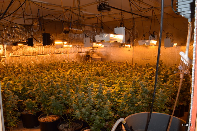 Indoor Marijuana Grow Eradicated on Amos Lane, Valley Springs
