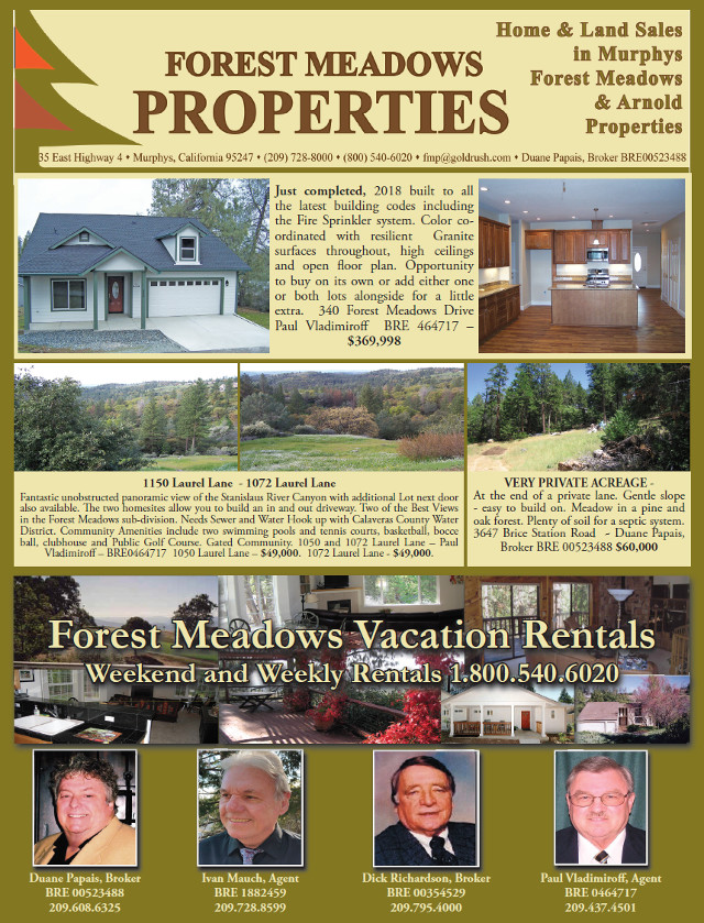 It All Starts at Forest Meadows Properties