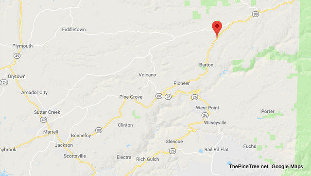 Traffic Update….BMW 545i vs Deer, Both Knocked Out Near Hwy 88 & Holiday Lane