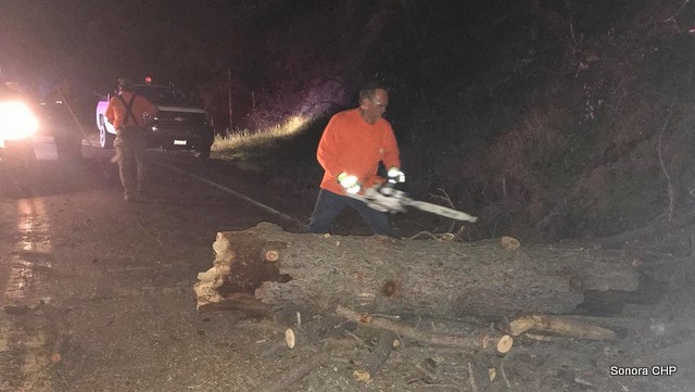 Downed Tree Blocks Parrotts Ferry & Community Helps Open Roadway Back Up