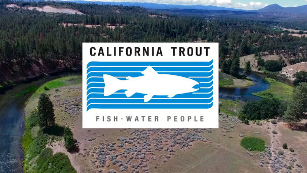 Trout Season Opening Day: Non-Profit Group CalTrout Bolsters Healthy Fish Populations