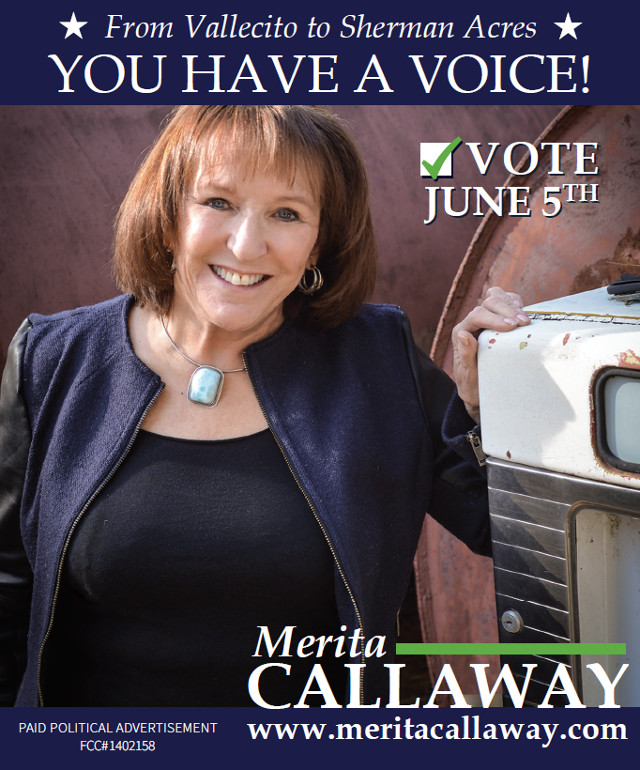 You Have a Voice!  Vote Merita Callaway on June 5th