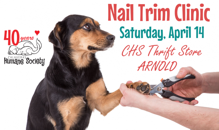 Don’t Forget The CHS Annual Nail Trim Clinic