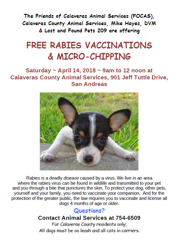 Free Rabies Vaccinations & Micro Chipping on April 14th