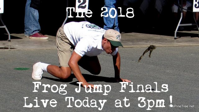 The 2018 International Frog Jump Finals…Live From Frogtown Today at 3pm!
