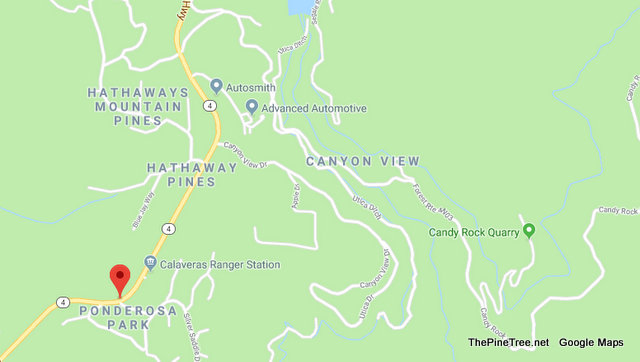 Traffic Update….Forest Service Vehicle vs Bear in Hathaway Pines Area