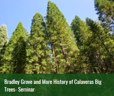 Bradley Grove and More History of Calaveras Big Trees- Seminar June 30 @ 10:00 am – 12:00 pm