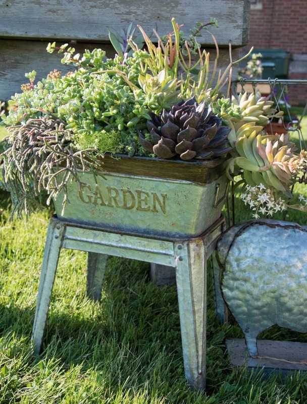 Calaveras Master Gardeners Open Garden & Plant Sale This Saturday