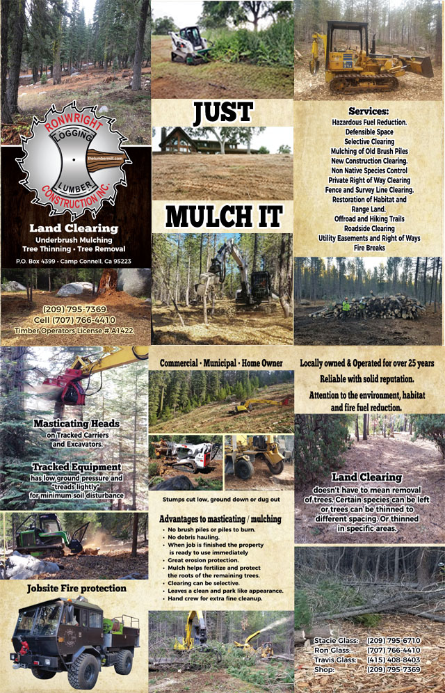 Land Clearing, Underbrush Mulching, Tree Thinning, Tree Removal & More ~ Ronwright Logging, Lumber and Construction