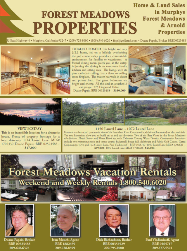 It All Starts at Forest Meadows Properties