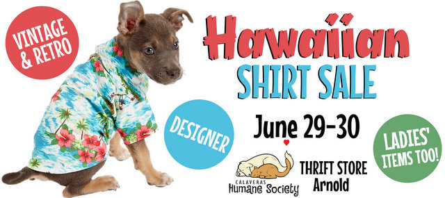 Make Plans, Mark Your Calendars for the Hawaiian Shirt Sale at CHS Thrift