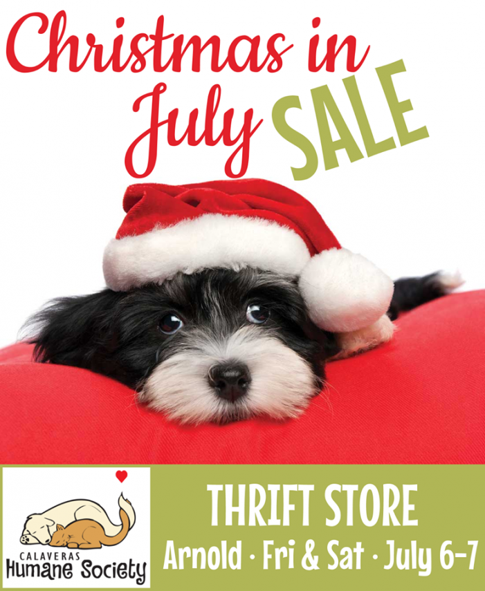 Christmas in July Sale is Going on Now at CHS Thrift in Arnold