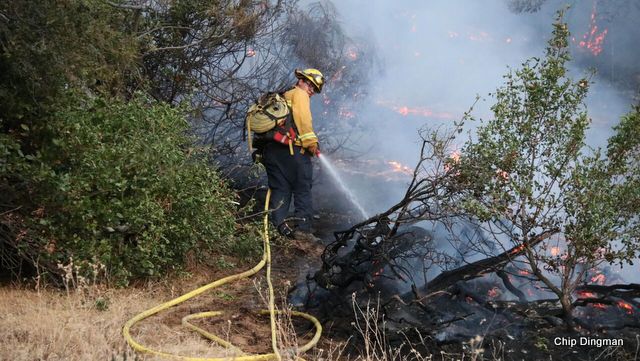 Firefighters Make Quick Work of Gillam Fire in Paloma Area ~ Chip Dingman
