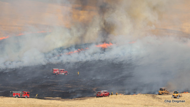 Waverly Fire Final Tallies, 12,300 Acres, 100% Contained