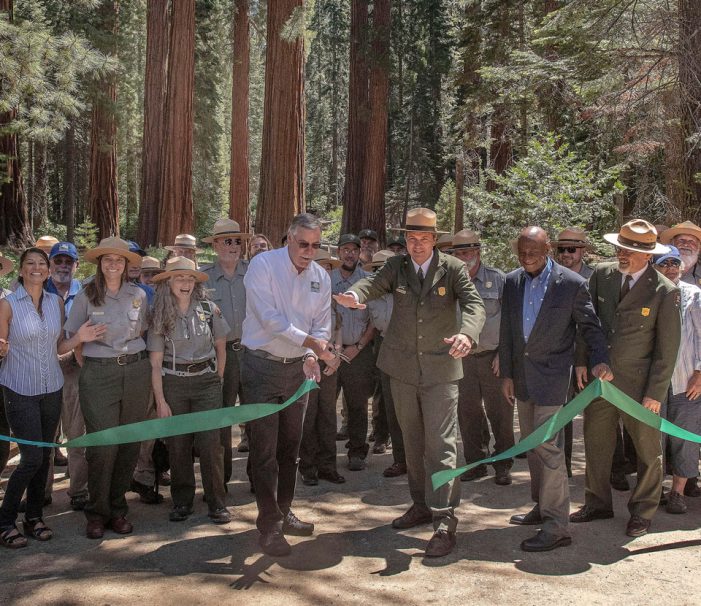 Mariposa Grove of Giant Sequoias Has Reopened After the Largest Restoration Project in Park History