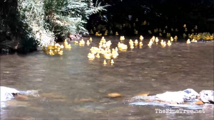 The 25th Annual Murphys Duck Races are July 21st!
