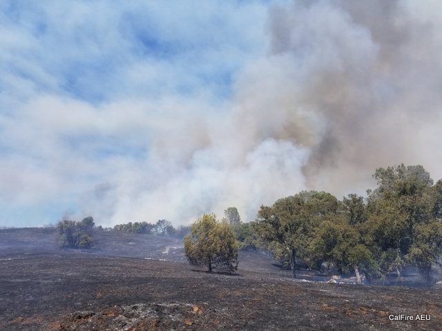 Irish Fire Update, Forward Progress Stopped, 840 Acres, 40% Contained