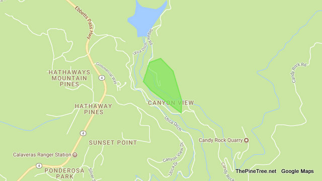 10 PG&E Customers Without Power in Hathaway Pines Fire Area