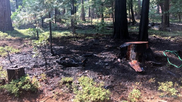 Discarded BBQ Briquettes Cause of Vegetation Fire