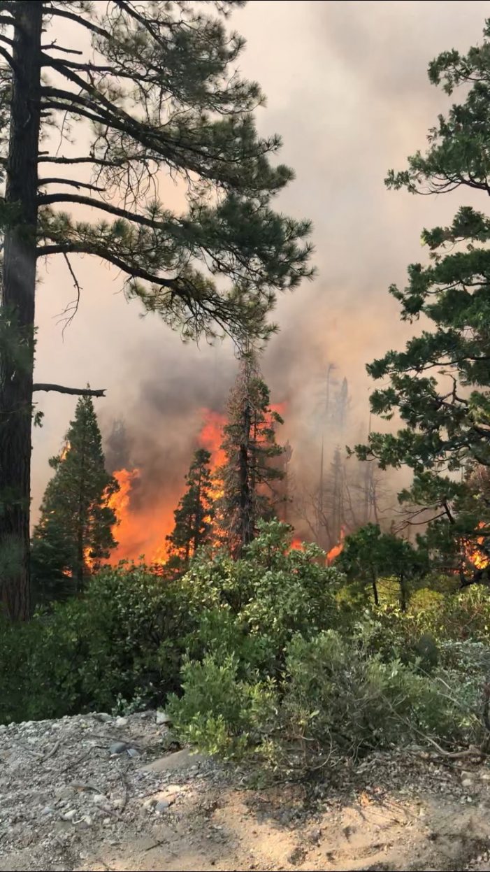 Donnell Fire Now 5,800 Acres, 0% Contained, Sonora Pass Closed, Evacuations Down to Kennedy Meadows