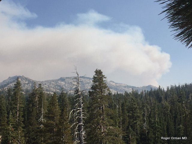The Donnell Fire, 6,000 Acres, 2% Contained, Growth Starting to Slow