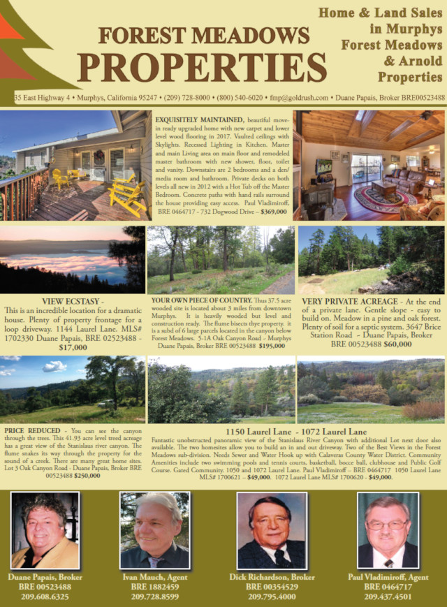 Forest Meadows Properties Featured Homes
